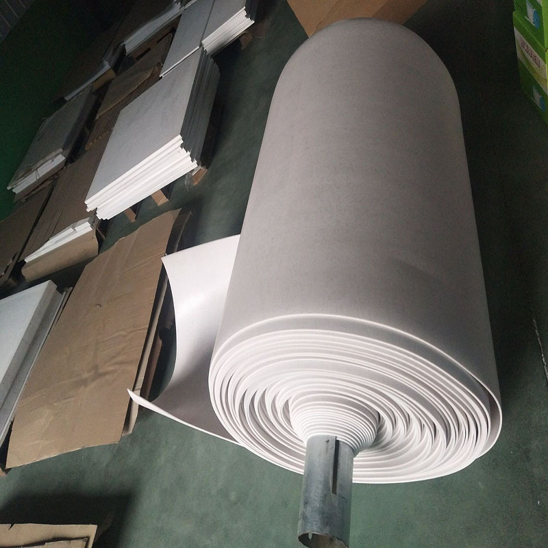 10MPa PTFE Roll By PAIDU